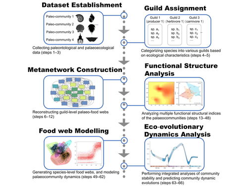 科學研究，技術先行——我校研究團隊創新研發生態模擬方法體系