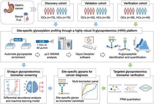 大連化物所成功開發(fā)高精度蛋白質(zhì)組分析系統(tǒng)，初步臨床結(jié)果亮眼