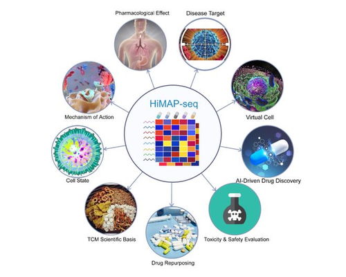 王棟、鄧赟與許俊泉團(tuán)隊(duì)開(kāi)發(fā)HiMAP-seq新技術(shù)并構(gòu)建三億量級(jí)藥物基因表達(dá)數(shù)據(jù)庫(kù)CIGS，引領(lǐng)生物技術(shù)新前沿