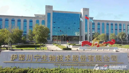 川寧生物創(chuàng)業(yè)板成功上市，引領(lǐng)生物技術(shù)研發(fā)新篇章