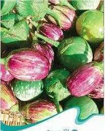 彩茄種子 開啟多彩健康菜園的鑰匙——聚焦農(nóng)副產(chǎn)品新機(jī)遇