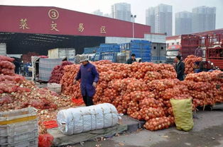 凝心聚力謀發(fā)展，食品銷(xiāo)售譜新篇——洛陽(yáng)市農(nóng)副產(chǎn)品行業(yè)協(xié)會(huì)第二屆會(huì)長(zhǎng)首次座談會(huì)側(cè)記