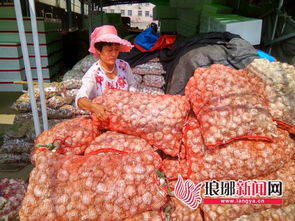上半年臨沂市市場(chǎng)主要農(nóng)副產(chǎn)品價(jià)格整體平穩(wěn) 食品銷(xiāo)售呈穩(wěn)中有升態(tài)勢(shì)