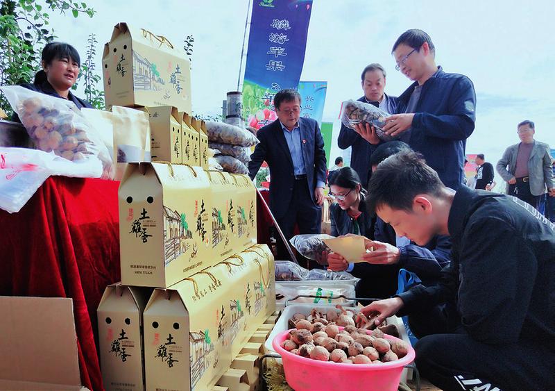 線上線下齊發(fā)力 食品銷(xiāo)售再現(xiàn)火爆盛況